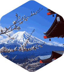 旅游软件开发方案